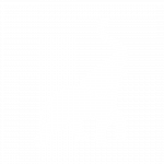Black Elephant Reversed Logo