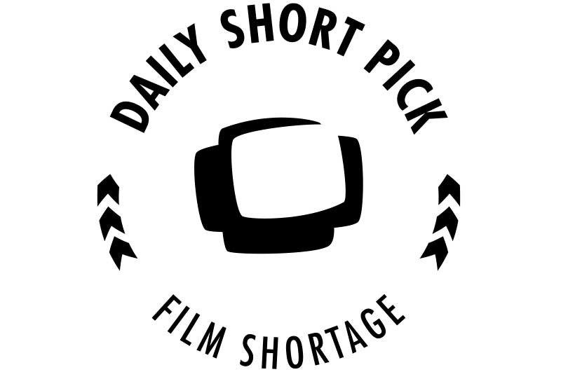 daily short pick